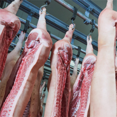 西班牙027284豬四分體20噸起批180天發(fā)貨