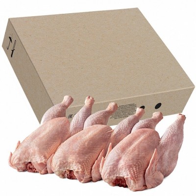 俄羅斯去頭去內(nèi)臟整雞30噸起批180天內(nèi)發(fā)貨