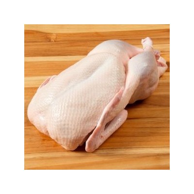 90天內(nèi)發(fā)貨巴西644廠帶頭帶脖去內(nèi)臟整鴨30噸起批