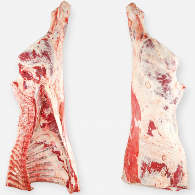 現(xiàn)貨先發(fā)阿根廷4770廠牛四分體