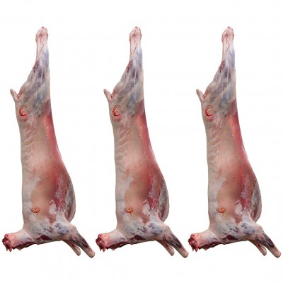 【現(xiàn)貨】澳大利亞572廠羔羊胴體100kg